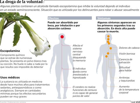 Burundanga: QUÉ ES esta DROGA PELIGROSA Efectos y Más 2 burundanga que es esta droga peligrosa efectos y mas