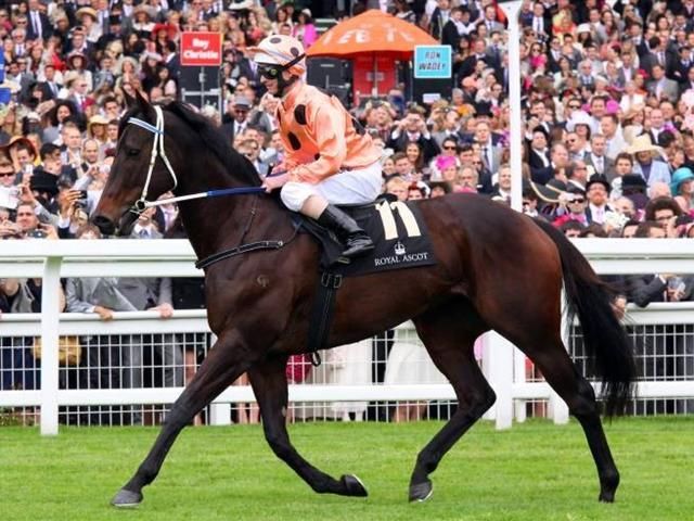 caballos mas rapidos del mundo descubre sus secretos