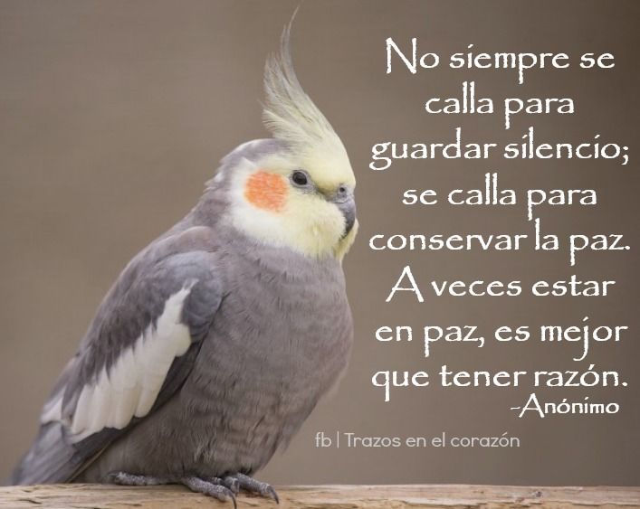 callado en silencio a veces es mejor quedarte callado