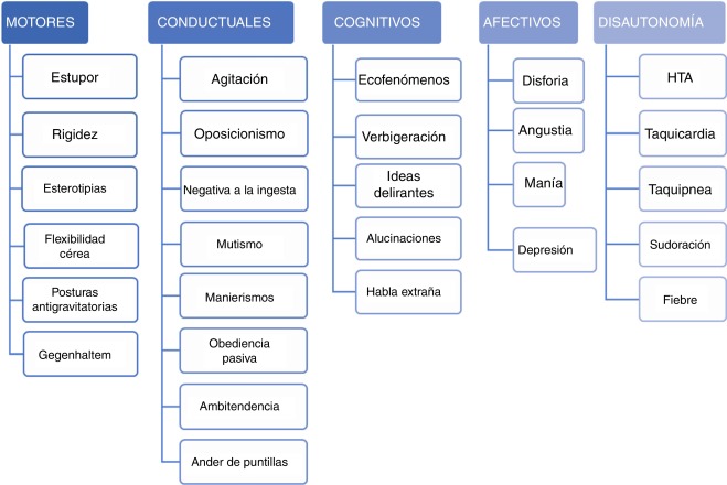 catatonia que es sintomas causas y tratamientos efectivos