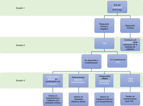 Catatónica: Diagnóstico y Tratamiento Efectivo en Madrid 2 catatonica diagnostico y tratamiento efectivo en madrid