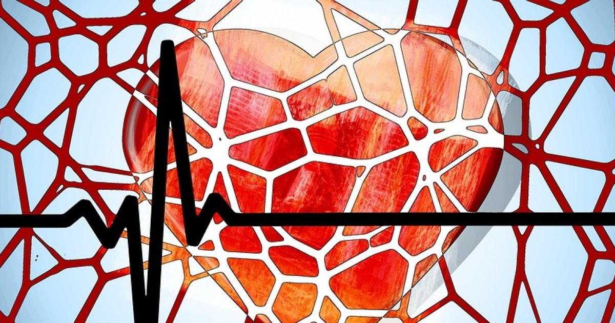 Causas de la HEMOFOBIA: Entiende el MIEDO a la SANGRE 2 causas de la hemofobia entiende el miedo a la sangre