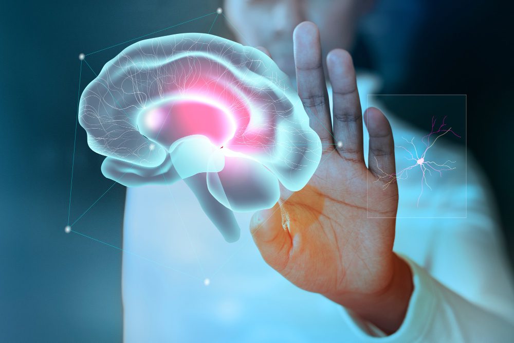 cerebro emocional secretos del sistema limico revelados