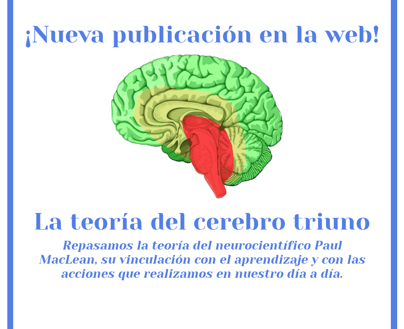 CEREBRO TRIUNO: Qué es y la IMPORTANTE TEORÍA de MacLean 2 cerebro triuno que es y la importante teoria de maclean