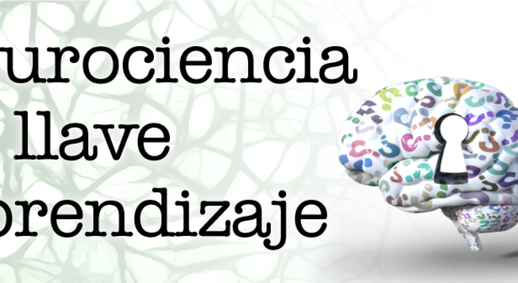 CEREBROS y su IMPACTO en el MODELO PEDAGÓGICO - ¡Descúbrelo! 37 cerebros y su impacto en el modelo pedagogico descubrelo