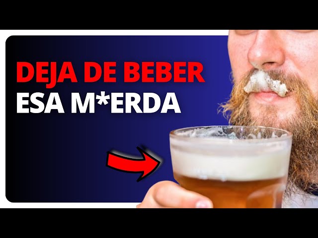 cerveza sin alcohol o 00 para alcoholicos descubrelo aqui
