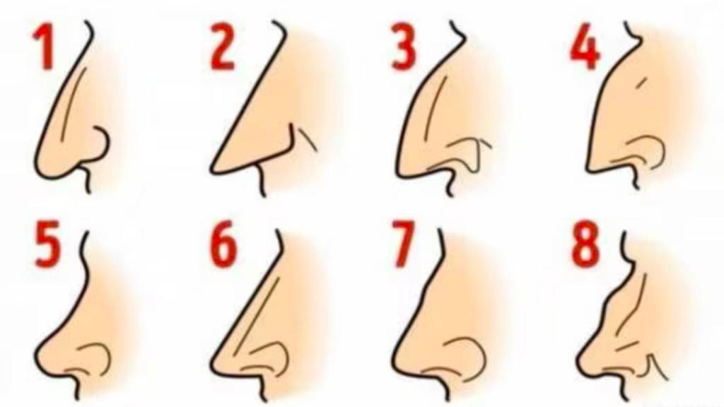 Chaqueta de PSICOLOGÍA: Descubre lo que DICE de TI 2 chaqueta de psicologia descubre lo que dice de ti
