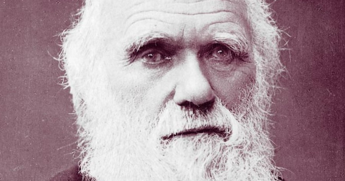 Charles Darwin: BIOGRAFÍA del GRAN NATURALISTA INGLES 2 charles darwin biografia del gran naturalista ingles