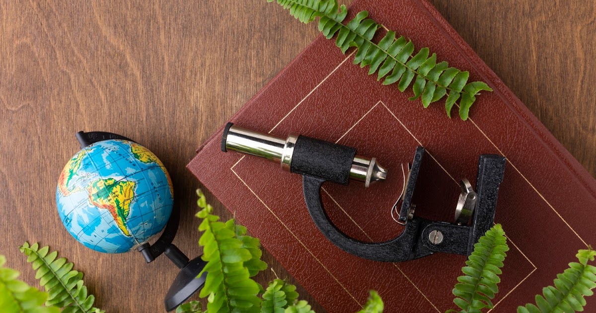 ciencias auxiliares de la geografia descubre sus secretos
