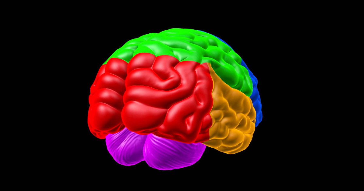 Cognitive PSYCHOLOGY: DEFINICIÓN, TEORÍAS y AUTORES CLAVE 2 cognitive psychology definicion teorias y autores clave