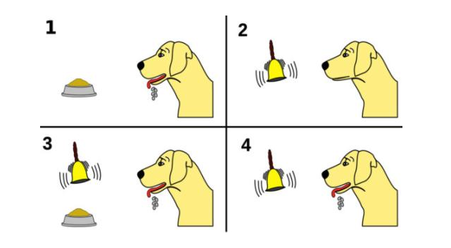 como afecta el condicionamiento de pavlov tu vida diaria