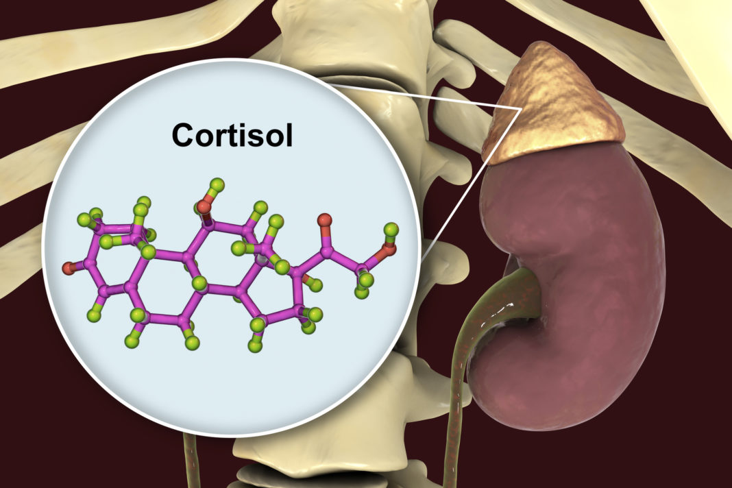 Cómo el ESTRÉS AFFECTA tu CUERPO - Descubre las PARTES Clave 2 como el estres affecta tu cuerpo descubre las partes clave