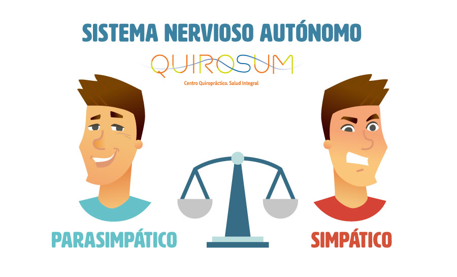 como impactan las emociones en tu sistema nervioso