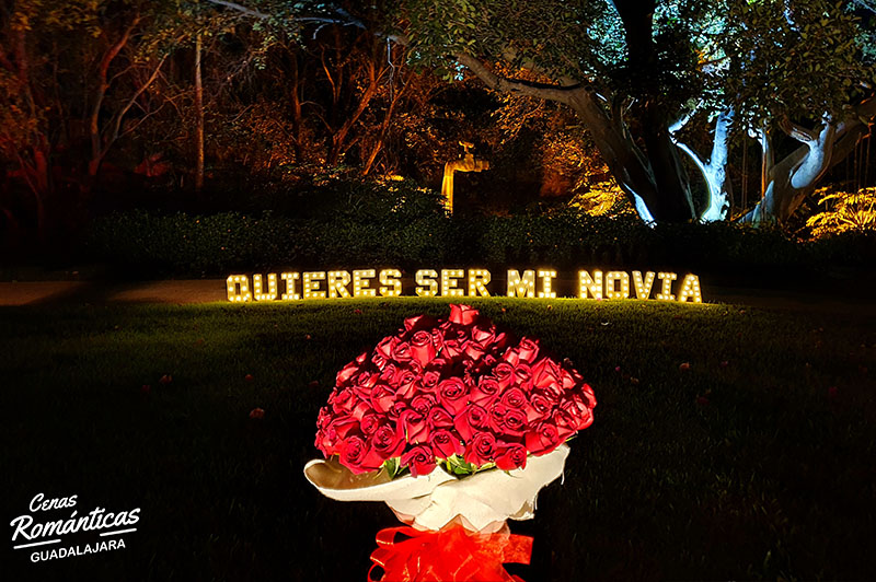 como pedir que sea mi novia ideas y consejos romanticos