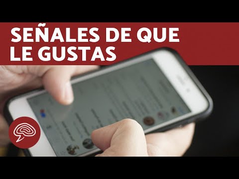 Cómo saber si le GUSTAS por WHATSAPP - 11 SEÑALES CLAVE 2 como saber si le gustas por whatsapp 11 senales clave