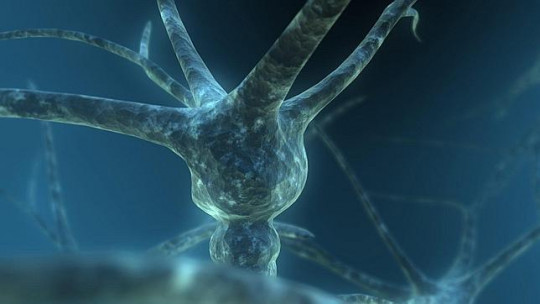 como se mueren las neuronas 40 causas y sus efectos