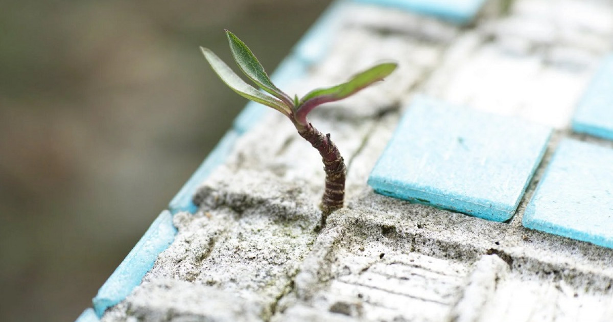 Cómo SER FUERTE MENTALMENTE - 10 CONSEJOS IMPRESCINDIBLES 2 como ser fuerte mentalmente 10 consejos imprescindibles