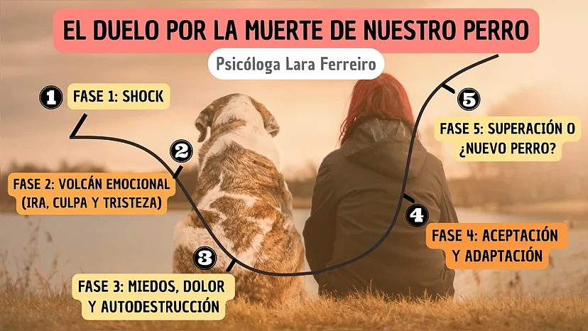 Cómo SUPERAR la MUERTE de un PERRO - Guía EMOCIONAL y APOYO 2 como superar la muerte de un perro guia emocional y apoyo