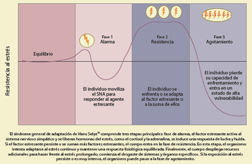 compassion focused therapy fases y aplicaciones en madrid