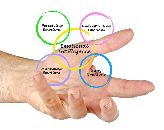 competencias emocionales descubre su importancia y tipos