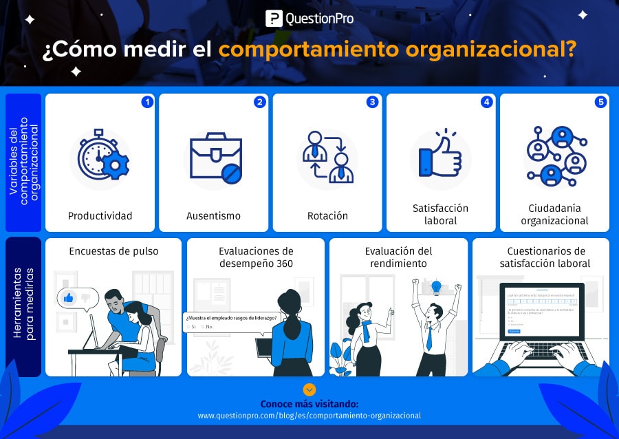 comportamiento organizacional como impacta en tu empresa