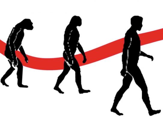 Concepciones del HOMBRE - Descubre su IMPORTANCIA y ROL 2 concepciones del hombre descubre su importancia y rol