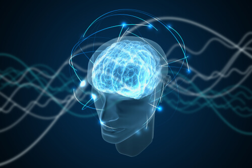 CONCIENCIA CUÁNTICA: La FASCINANTE TEORÍA Universal 2 conciencia cuantica la fascinante teoria universal