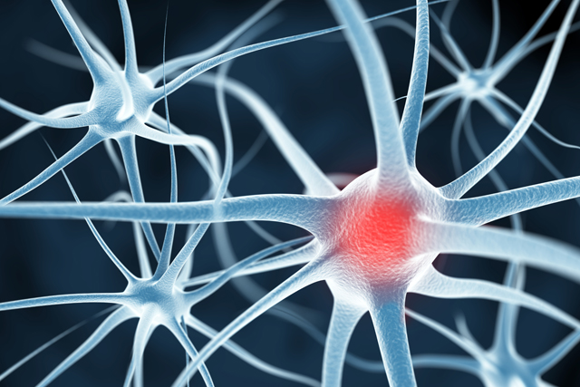 CONECTIVIDAD NEURONAL: DESCUBRE tu CEREBRO en Terapia ONLINE 2 conectividad neuronal descubre tu cerebro en terapia online