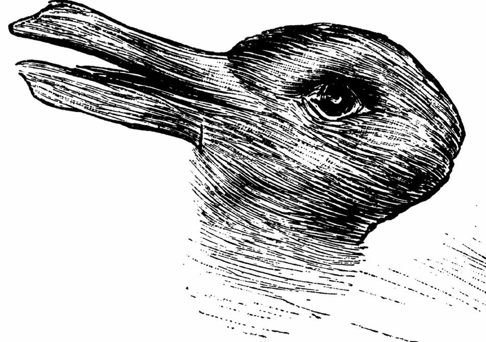 CONEJO o PATOO: Descubre tu PERCEPCIÓN GRATIS 2025 2 conejo o patoo descubre tu percepcion gratis 2025