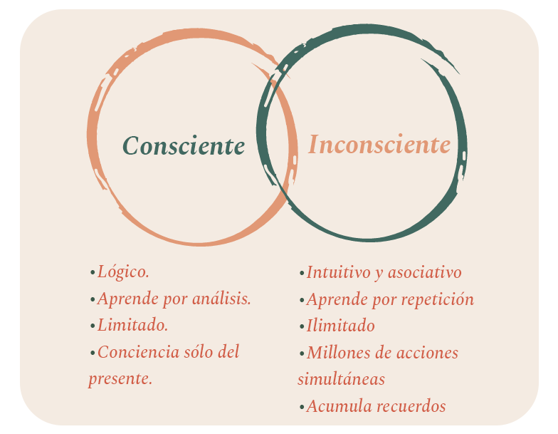 consciencia y conciencia diferencias clave que debes saber
