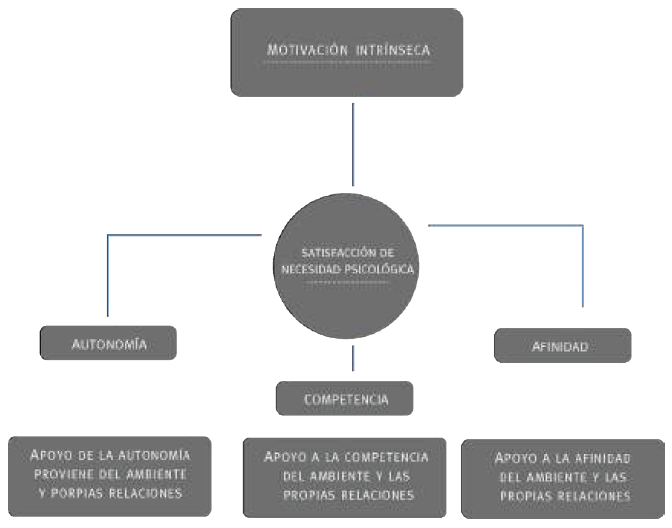 Constructivismo Psicológico: Teoría y Aplicaciones Reveladoras 2 constructivismo psicologico teoria y aplicaciones reveladoras