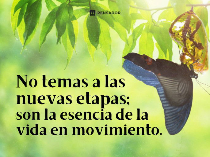 CORTAS ALAS: Descubre tu CRECIMIENTO PERSONAL sin LÍMITES 2 cortas alas descubre tu crecimiento personal sin limites