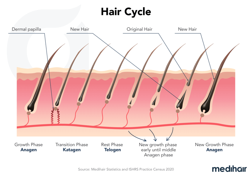 CORTICOSTEROIDES: QUÉ SON y para QUÉ SIRVEN ¡DESCÚBRELO! 2 corticosteroides que son y para que sirven descubrelo