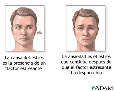 Crisis de ANSIEDAD: Síntomas, CAUSAS y Tratamiento Efectivo 2 crisis de ansiedad sintomas causas y tratamiento efectivo