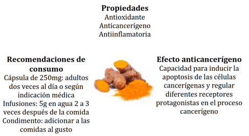 CÚRCUMA: PROPIEDADES MEDICINALES y SUS BENEFICIOS EN MADRID 2 curcuma propiedades medicinales y sus beneficios en madrid