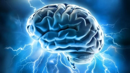 Datos PSICOLÓGICOS INCREÍBLES - 30 Curiosidades que IMPACTAN 2 datos psicologicos increibles 30 curiosidades que impactan