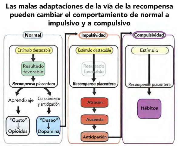 Delirio vs Alucinación: Claves para Entenderlas en Terapia 2 delirio vs alucinacion claves para entenderlas en terapia