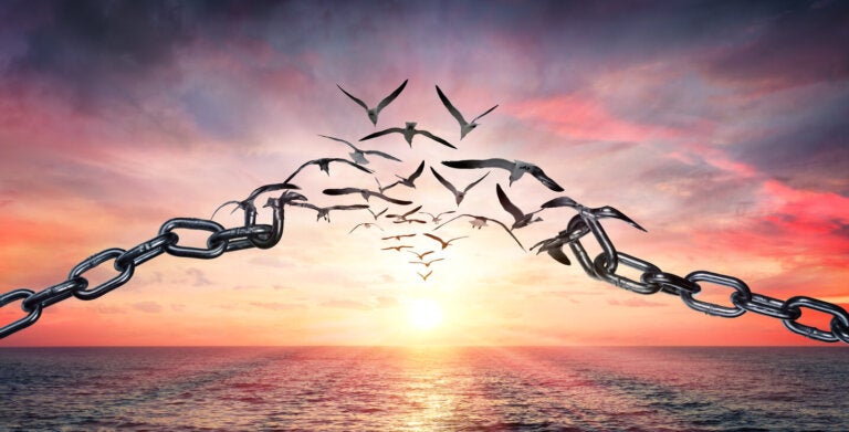 Desapego: CAMINA hacia la LIBERTAD emocional y personal 2 desapego camina hacia la libertad emocional y personal