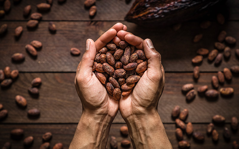 descubre 10 beneficios del cacao para tu mente y cuerpo
