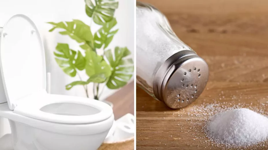 Descubre 14 Sorprendentes Beneficios del Baño con Agua Fría 2 descubre 14 sorprendentes beneficios del bano con agua fria