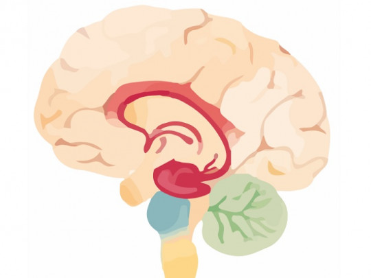 descubre causas y sintomas del sindrome cerebral organico