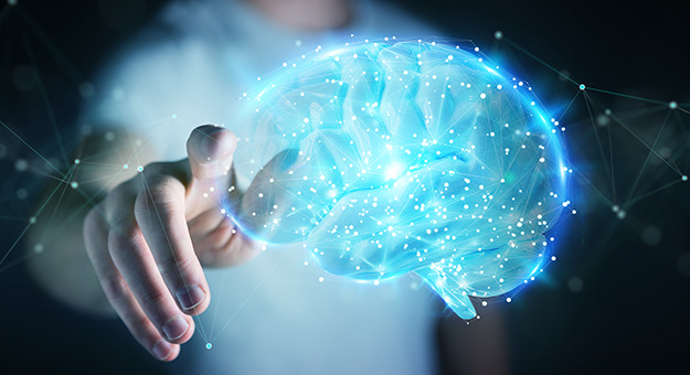 Descubre cómo funciona la mente humana y sus secretos 14 descubre como funciona la mente humana y sus secretos