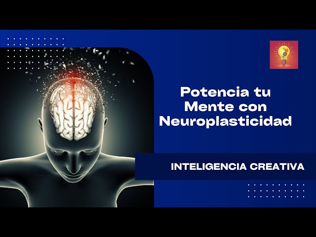 Descubre Cómo la Neuroplasticidad Transforma Tu Mente 2 descubre como la neuroplasticidad transforma tu mente