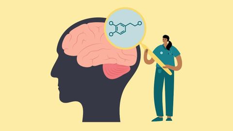 Descubre cómo la Noradrenalina Potencia tu Salud y Bienestar 2 descubre como la noradrenalina potencia tu salud y bienestar