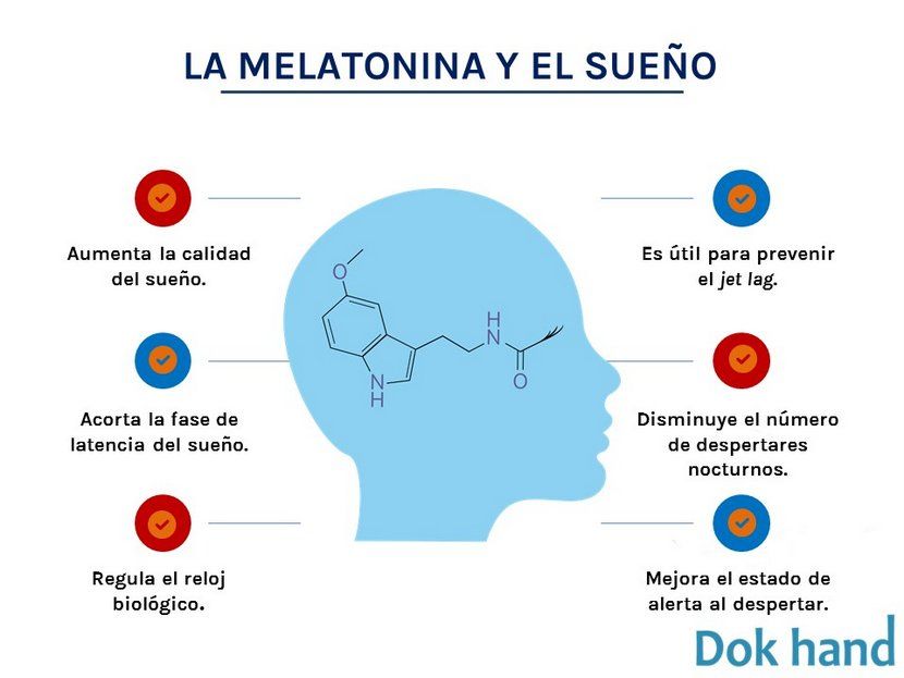 descubre como los ritmos circadianos transforman tu salud