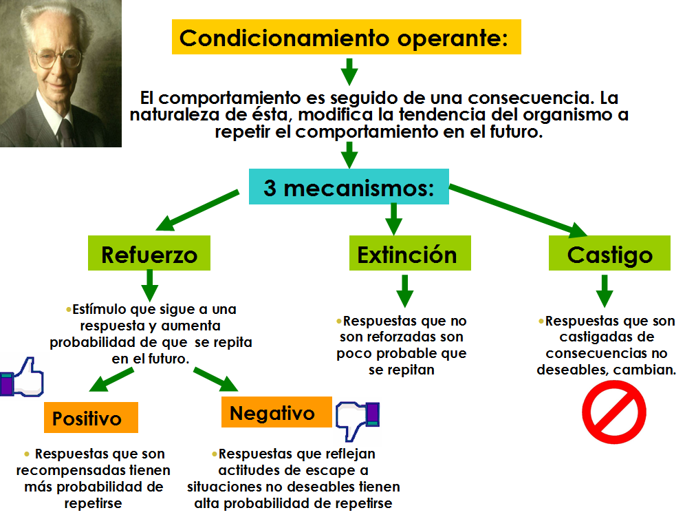 Descubre el Impacto de Skinner en la Psicología Online 32 descubre el impacto de skinner en la psicologia online