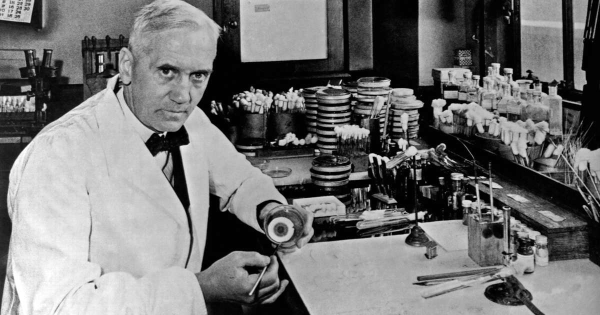 Descubre el Legado de Alexander Fleming en la Medicina 2 descubre el legado de alexander fleming en la medicina