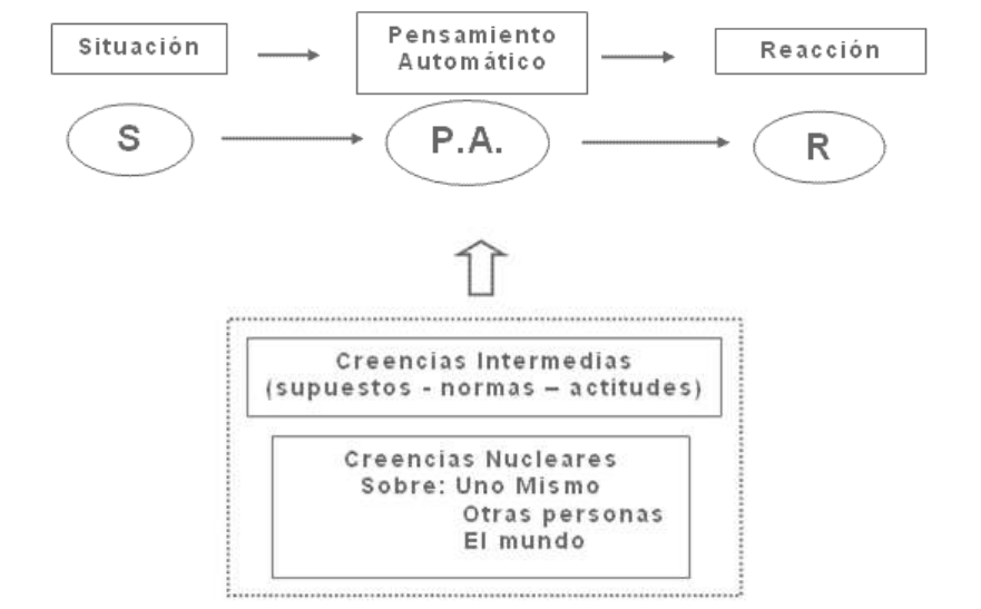 descubre el poder de las creencias centrales e intermedias