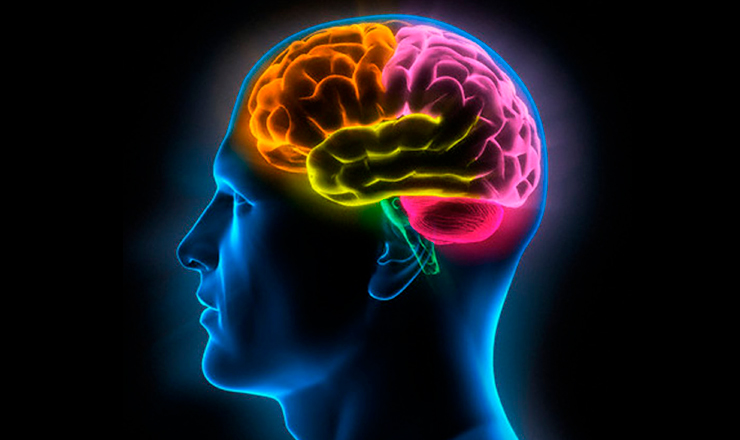 descubre el poder del lavado cerebral mito o realidad