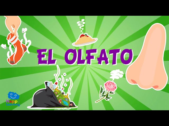 Descubre el Poder del Olfato: Funciones Sorprendentes 2 descubre el poder del olfato funciones sorprendentes